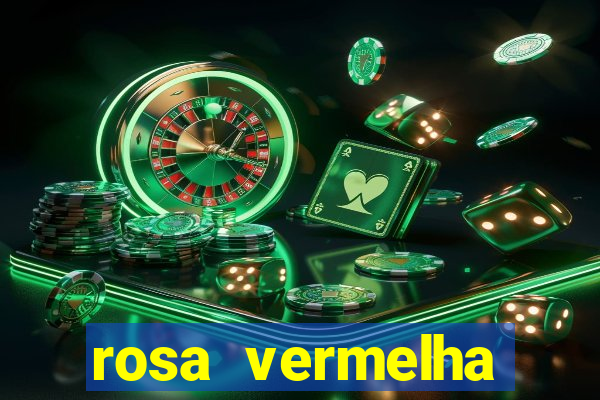 rosa vermelha (letra e cifra)